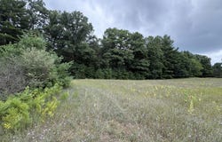 VL 5 Mile Road, Morley, MI 49336