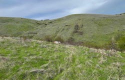 Starthistle Lane, Lenore, ID 83541