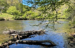 346 River Club Drive lot: 5, Cullowhee, NC 28723