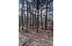 Commons Road lot: # 2, Chateaugay, NY 12920