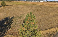 4782 S Abbott Rd, Spokane, WA 99224