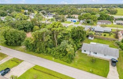 UMBRELLA TREE Drive, EDGEWATER, FL 32132