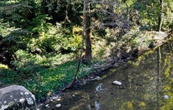 00 Riverside RD, BROOKDALE, CA 95007