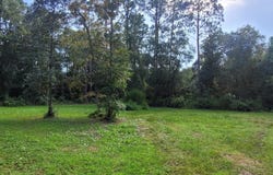 Moss Drive, Saint Augustine, FL 32092