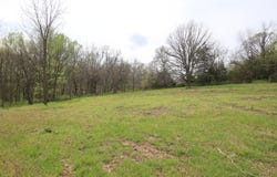 River Pass Drive lot: 6 & 11, Marshfield, MO 65706