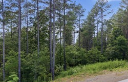 1141 Split Rail Way, Guild, TN 37340