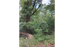 Dogwood drive, Murchison, TX 75778