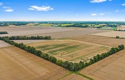 HWY 254 & Patterson Rd., Sacramento, KY 42372