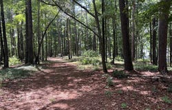 1595 PULLMAN LANE, Greensboro, GA 30642