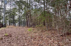 WRIGHT WAY DRIVE lot: 78, WEDOWEE, AL 36278