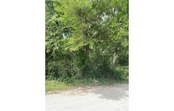 NE 830th St, Old Town, FL 32680
