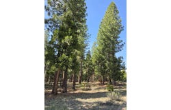 762 Blacktail Ridge, Portola, CA 96122