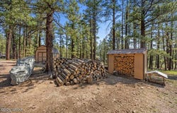 8 Turkey Track Drive, Alpine, AZ 85920