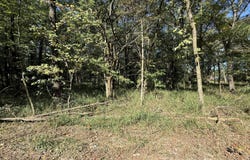 203, Wheatland, MO 65779