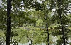LAKESIDE CIRCLE lot: 31, DELTA, AL 36258