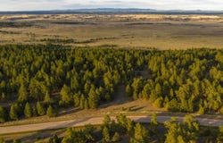 Pine ridge road, Moorcroft, WY 82721