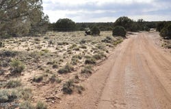 176 CR N5549, Concho, AZ 85924