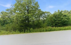 Beechwood Drive lot: 139, Branson West, MO 65737