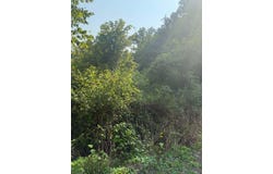 Shop Branch, Printer, KY 41655