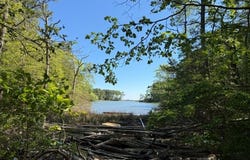 7.25 ac Taylors Beach Road, REEDVILLE, VA 22539