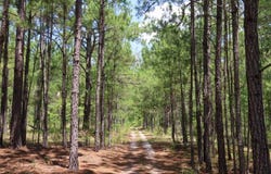 3915 Old Georgetown Road, Kershaw, SC 29067
