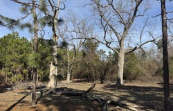 Butler Mill Road, Bladenboro, NC 28320