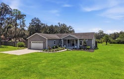 5335 SHAKESPEARE Drive, DOVER, FL 33527