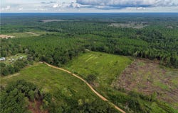 Clear Springs Lane, Chunchula, AL 36521