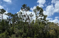 2185 WATERFALL Drive, SPRING HILL, FL 34608