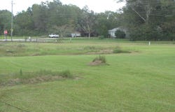 109 Ivy, Ozona, MS 39466