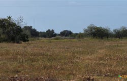 251 Old Goliad Road, Refugio, TX 78377