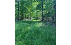 Lange Road, Bridgeport, MI 48722