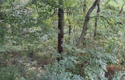 13885 US Hwy 41 S, Robards, KY 42452