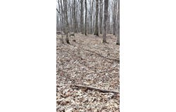 whitetail circle, Lackawaxen, PA 18435
