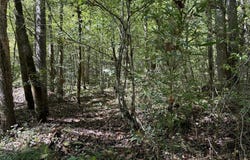 River Road, Fox, AR 72051