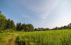 769 County Highway 1, Mount Upton, NY 13809