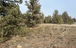 Quartz Road lot: 130, Montague, CA 96064