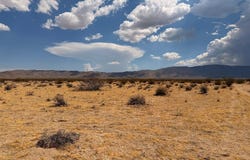 5 Brody, Johnson Valley, CA 92285