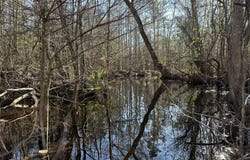 009 Mt Zion Road, Gordon, AL 36343