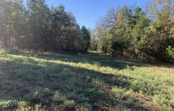 3200 River Mountain Road, Delaware, AR 72835
