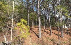 Stone Ridge Pkwy, Brookwood, AL 35444