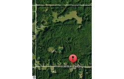 8836 Ora Lake Road, Hale, MI 48739