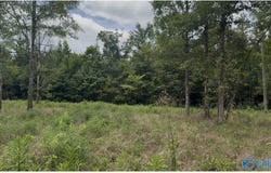 COUNTY ROAD 32 lot: 59, PIEDMONT, AL 36272