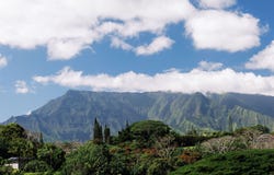 6546-D KUAMOO RD, Kapaa, HI 96746