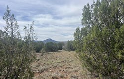 51 W Boiling Pot Road, Ash Fork, AZ 86320