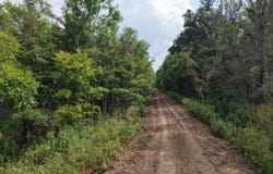 Dawling Bayou Road, Anguilla, MS 38721