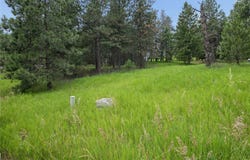 435 Windsor Drive, Bigfork, MT 59911