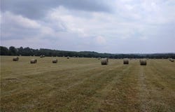 1550 TBD County Road, Compton, AR 72624