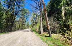 Green Mountain Turnpike, Chester, VT 05143