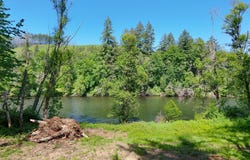 Goodpasture Rd, Vida, OR 97488